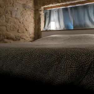 https://le-petit-duguesclin-charmant-2-pers-place-guichard.hotels-rhonealpes.com